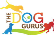 The Dog Gurus