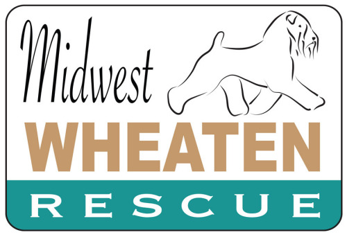 wheaten-rescue