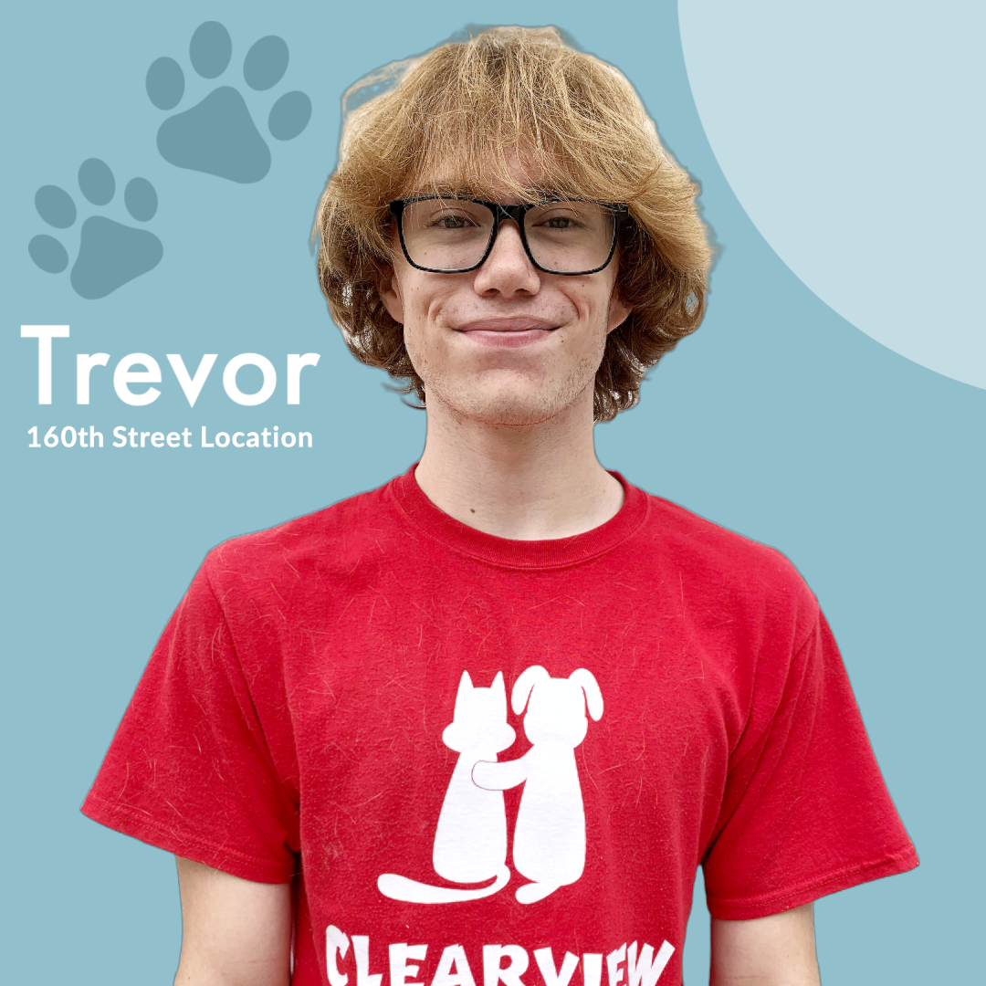 Meet Our Team