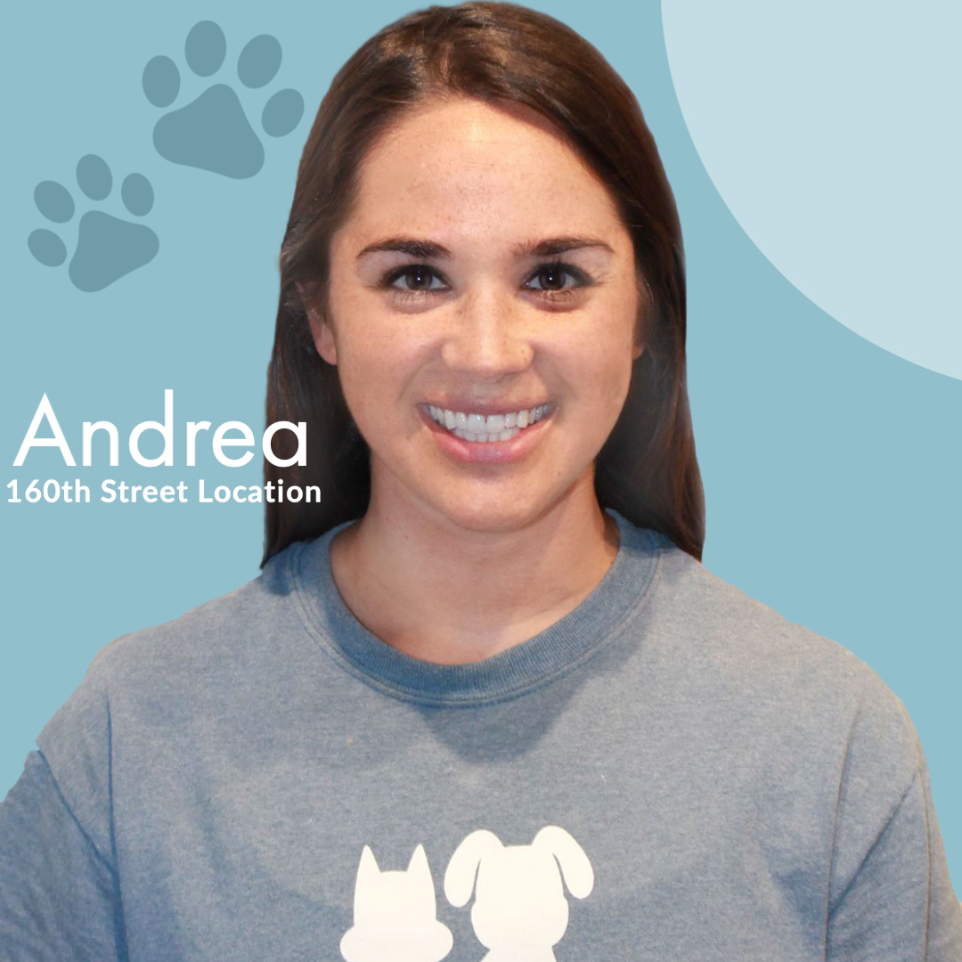 Meet Our Team