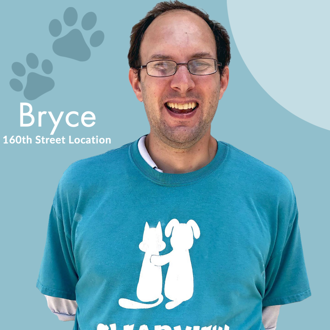 Meet Our Team
