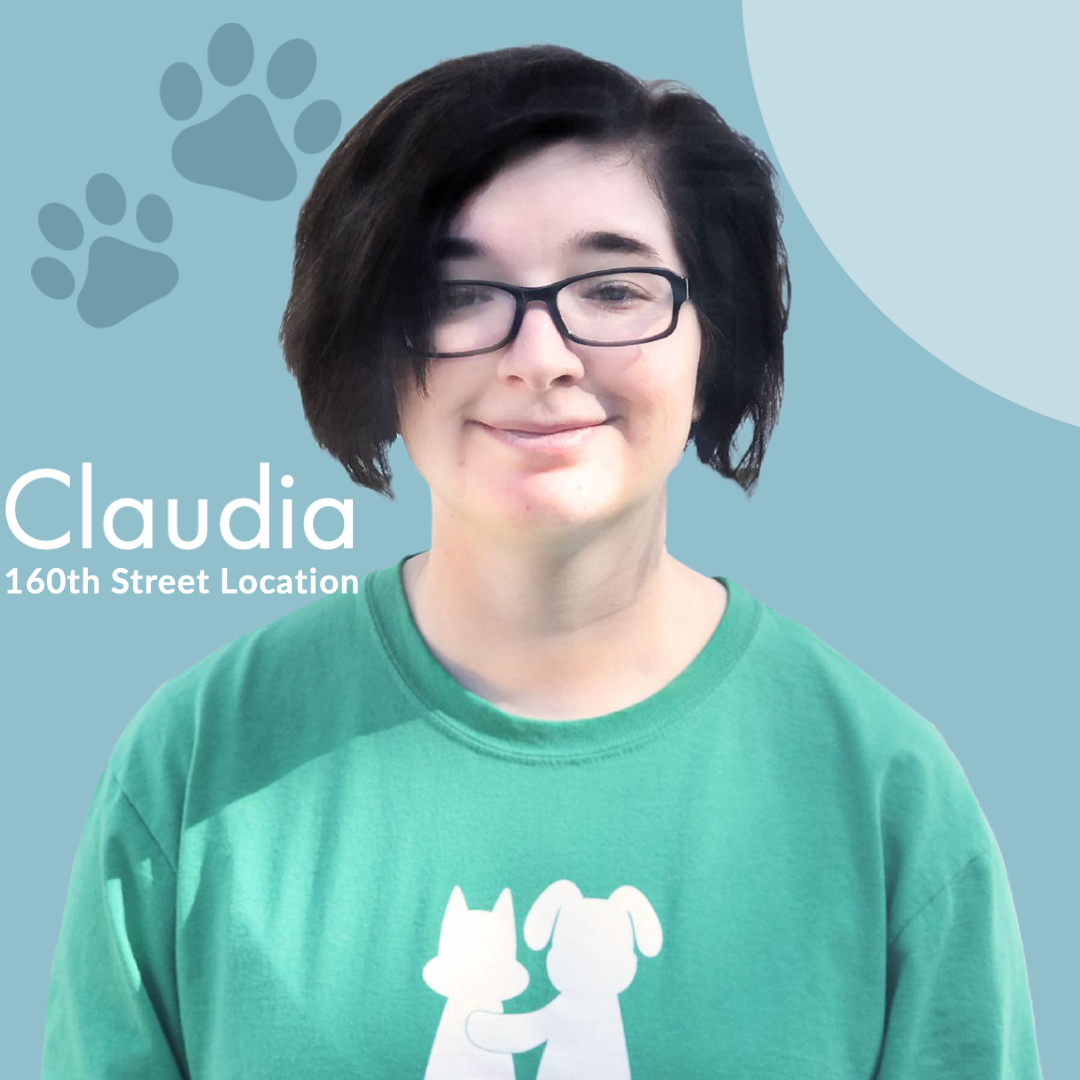 Meet Our Team