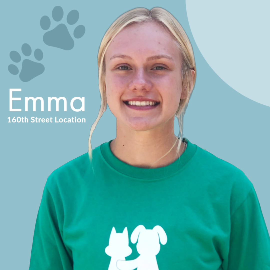 Meet Our Team