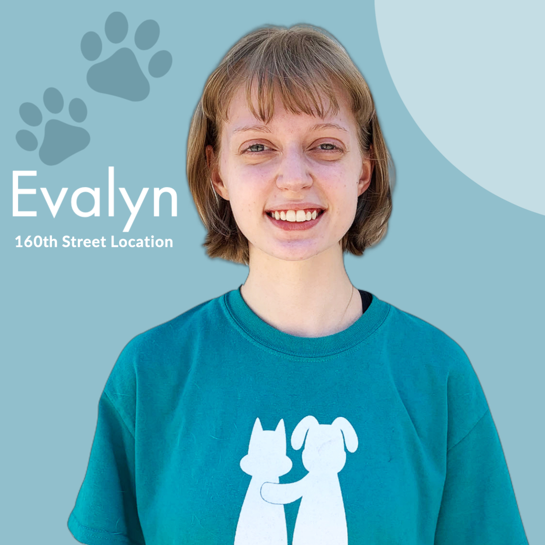 Meet Our Team