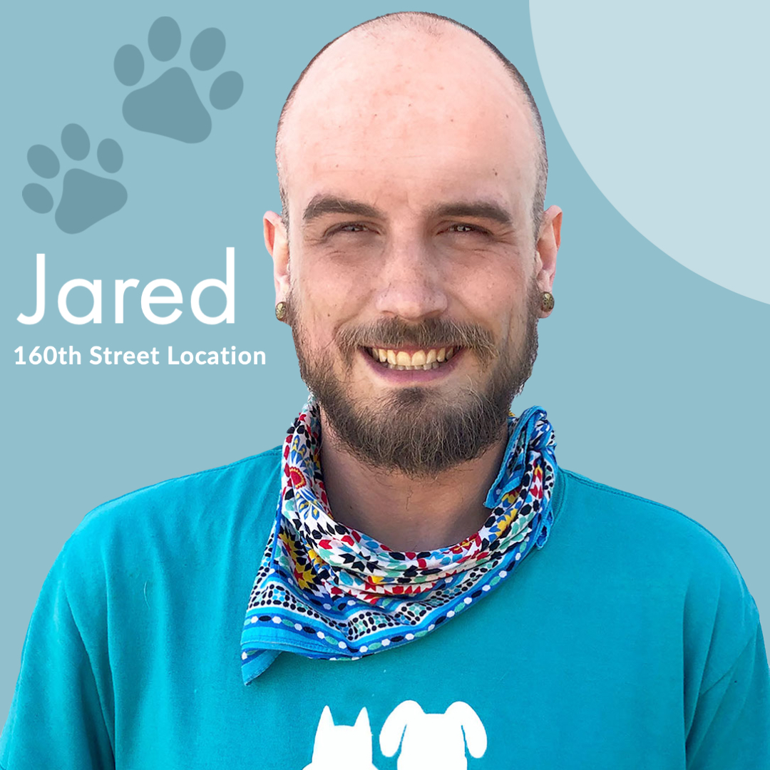 Meet Our Team